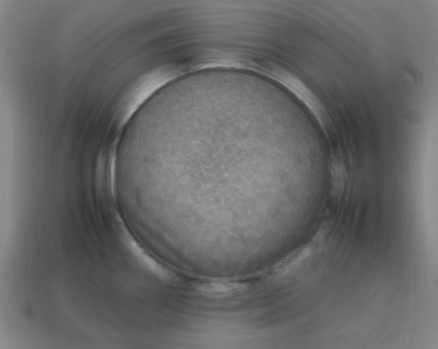 X0000113781290200910071216