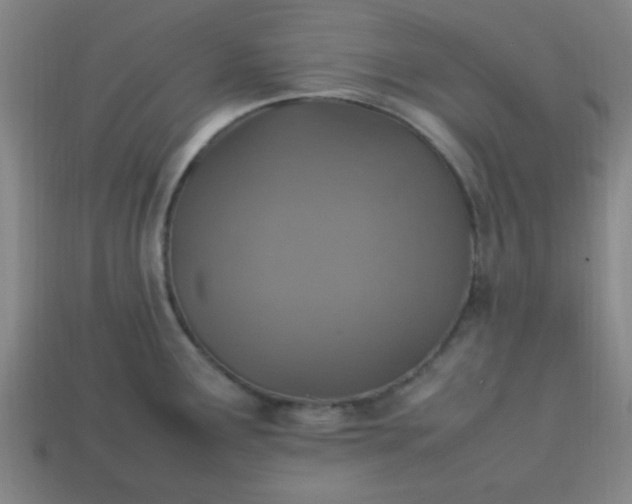 X0000113781291200910071216