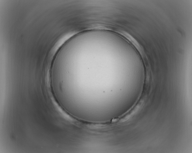 X0000113781293200910071216