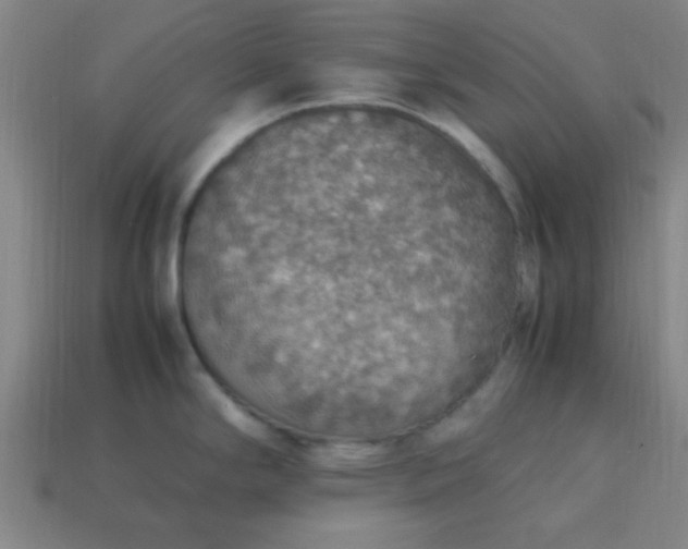 X0000113781294200910071216