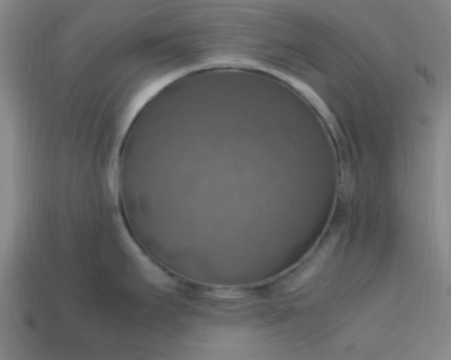 X0000113781295200910071216