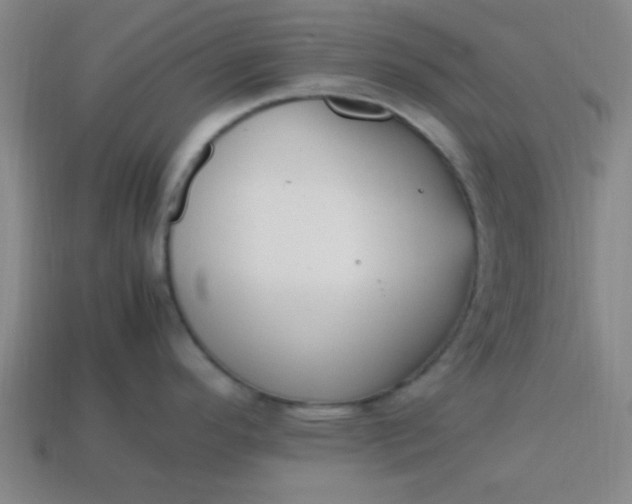 X0000113781296200910071216