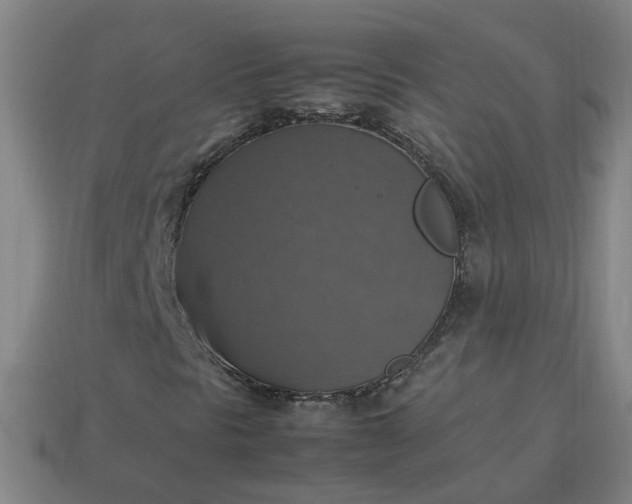 X0000113781297200910071215