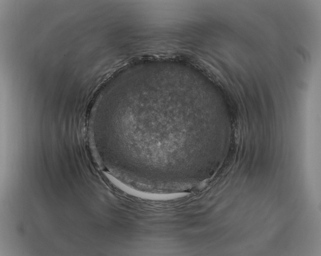 X0000113781298200910071215