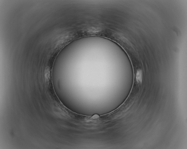 X0000113781299200910071215