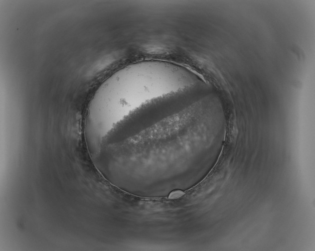 X0000113781301200910071215