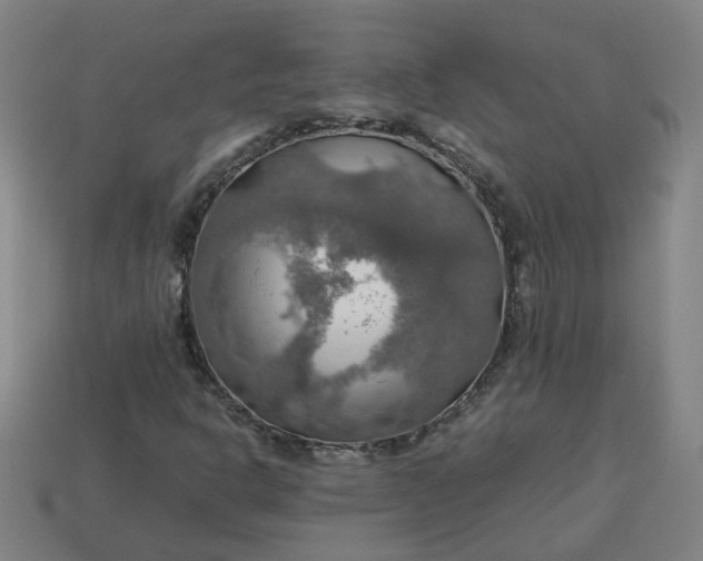 X0000113781302200910071215