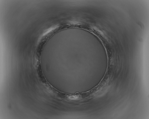 X0000113781303200910071215