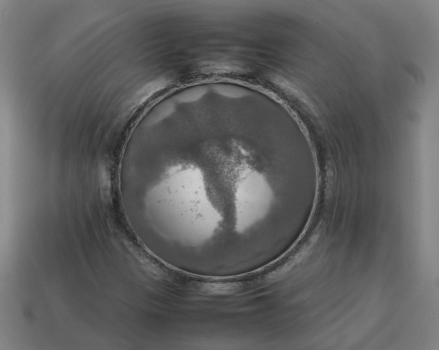 X0000113781305200910071215