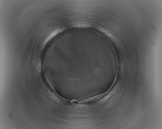 X0000113781306200910071215