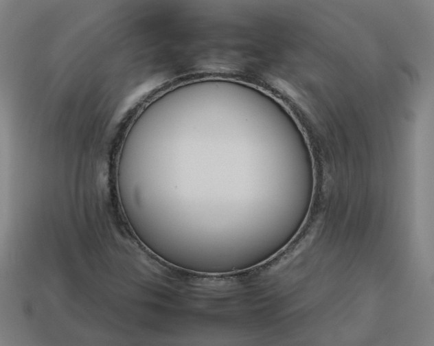 X0000113781307200910071215