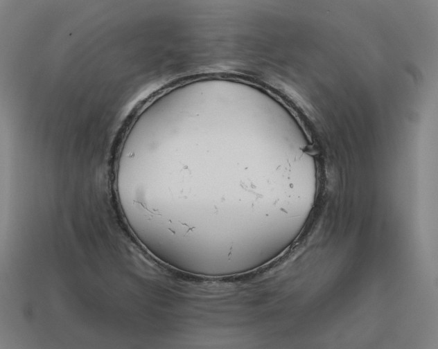 X0000113781308200910071216