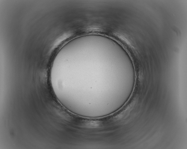 X0000113781309200910071216