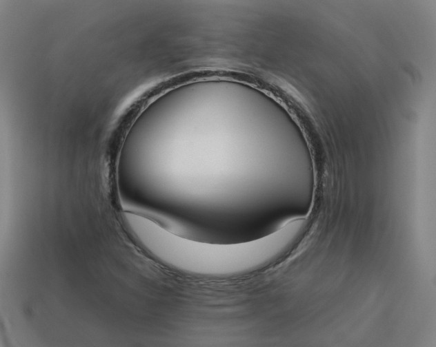 X0000113781310200910071216