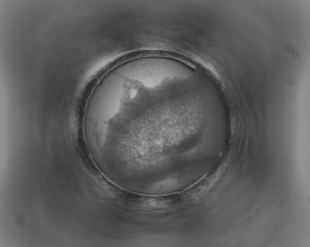 X0000113781311200910071216