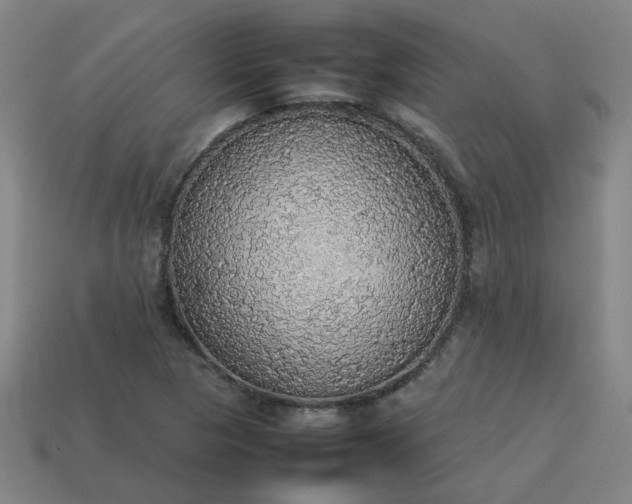 X0000113781313200910071216