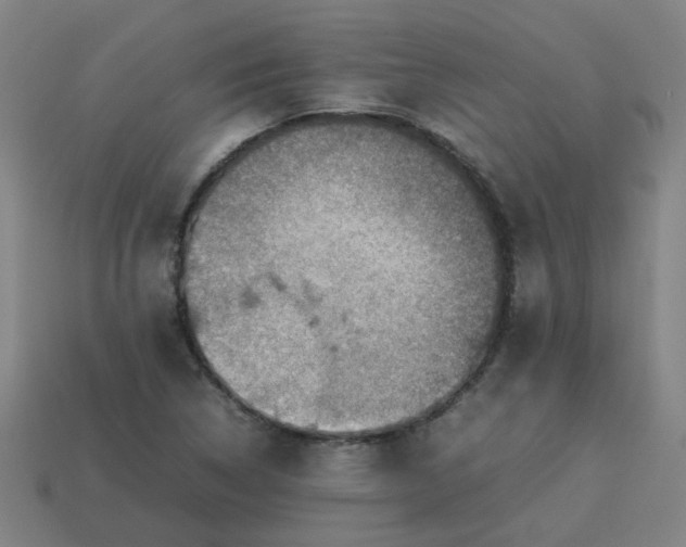 X0000113781314200910071216