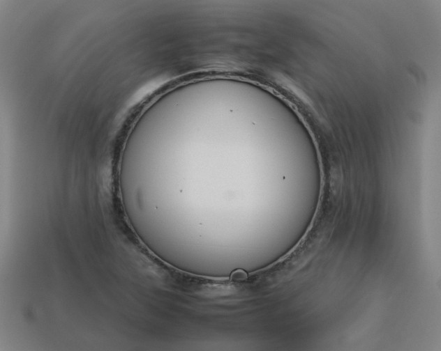 X0000113781315200910071216