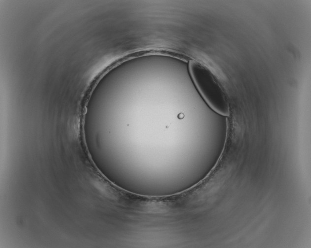 X0000113781316200910071216