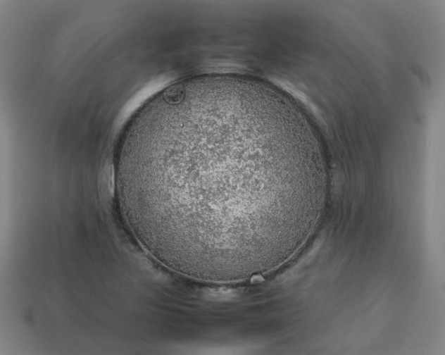 X0000113781317200910071216