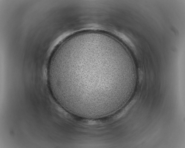 X0000113781318200910071216