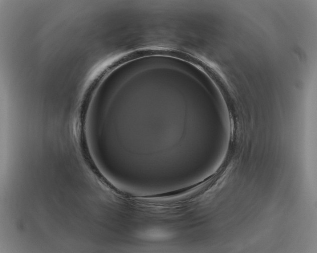 X0000113781319200910071216