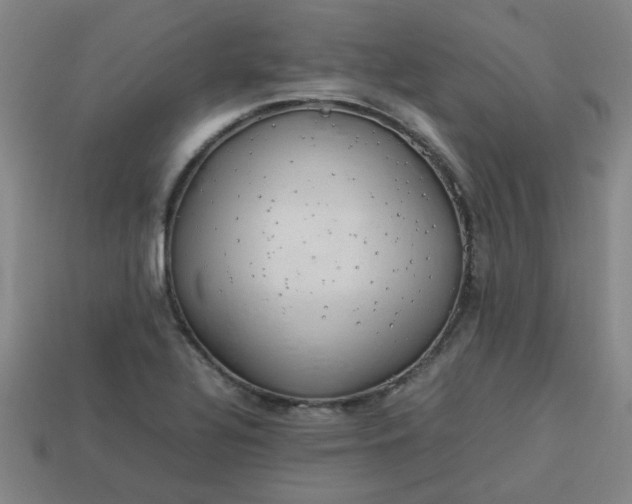 X0000113781320200910071216