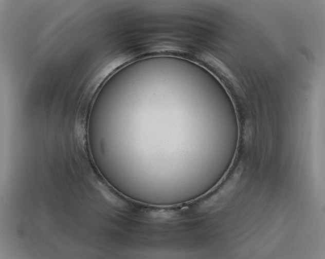 X0000113781321200910071216