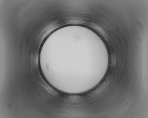 X0000113781322200910071216