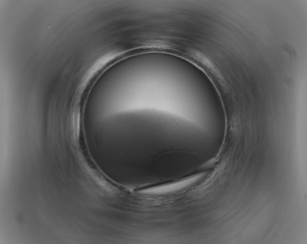 X0000113781323200910071216