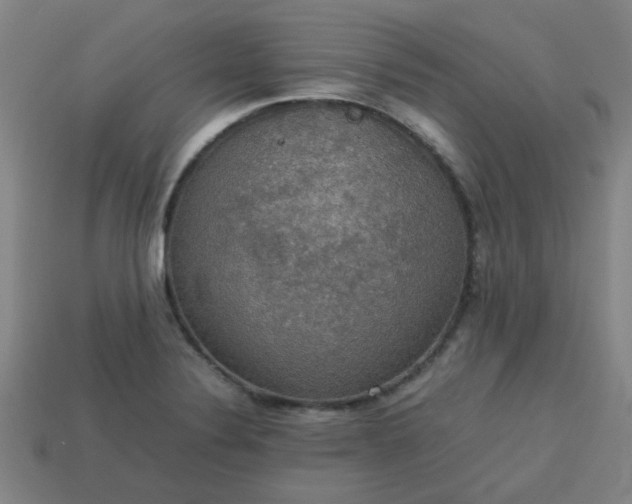 X0000113781324200910071216