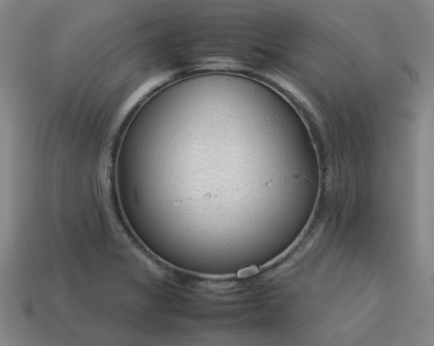 X0000113781325200910071216