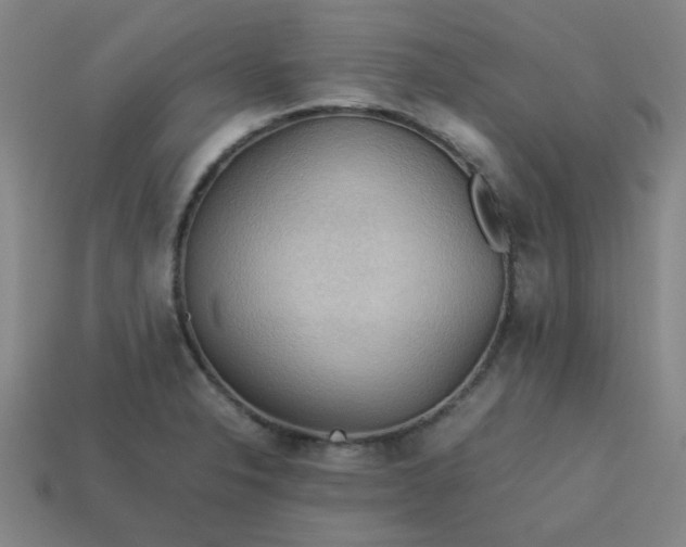 X0000113781326200910071216