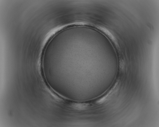 X0000113781327200910071216