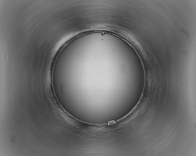 X0000113781328200910071216