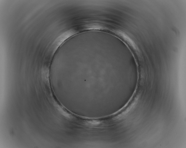 X0000113781329200910071216