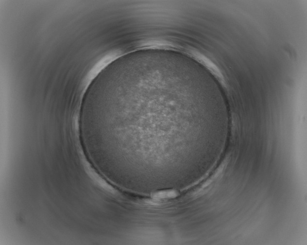 X0000113781330200910071216