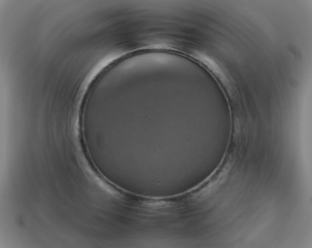 X0000113781331200910071216