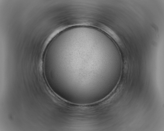 X0000113781332200910071216