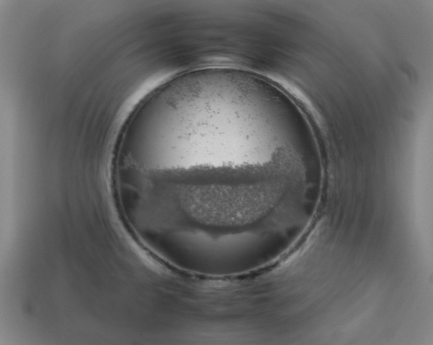 X0000113781333200910071216