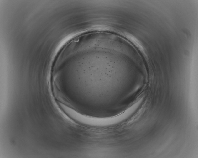 X0000113781334200910071216