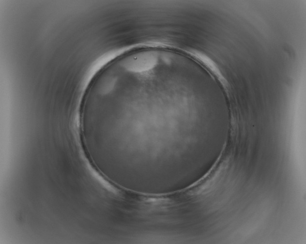 X0000113781335200910071216