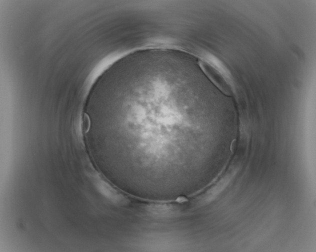 X0000113781336200910071216