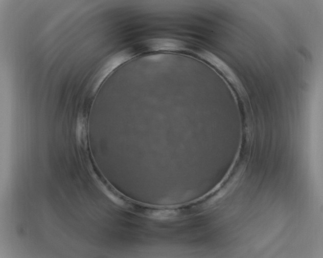 X0000113781337200910071216