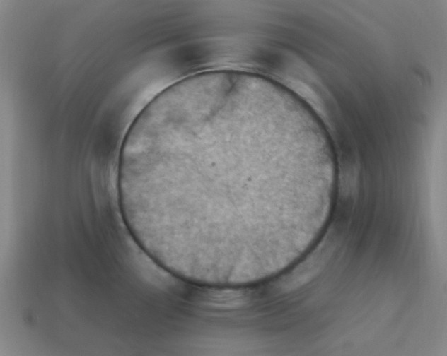 X0000113781338200910071216