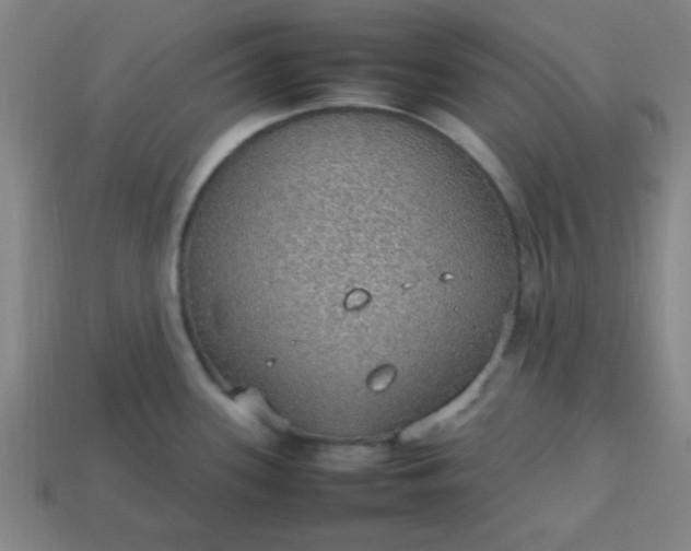 X0000113781339200910071216