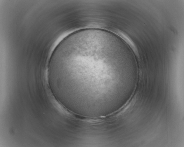 X0000113781340200910071216