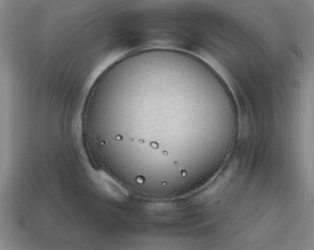 X0000113781341200910071216