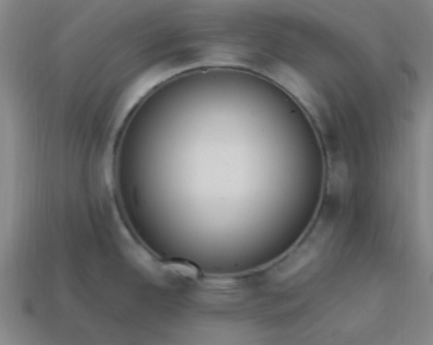 X0000113781342200910071216