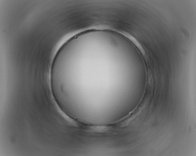 X0000113781343200910071216